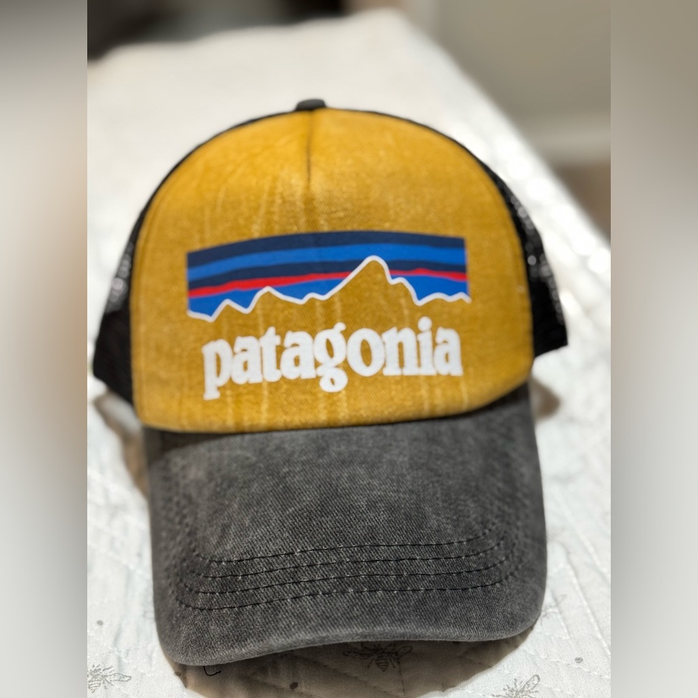 Patagonia trucker hat